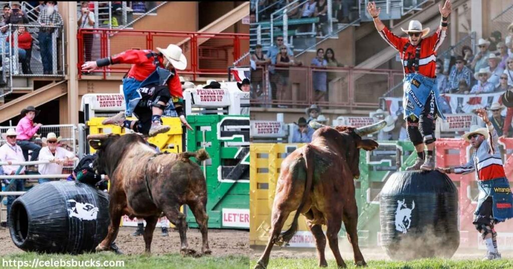 Professional Journey Bullfighter and Trainer in PRCA